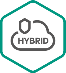 Kaspersky Security для виртуальных и облачных сред